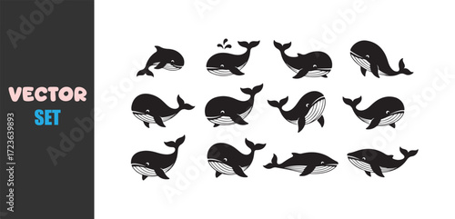 Collection of whales and dolphins in a whimsical hand drawn style