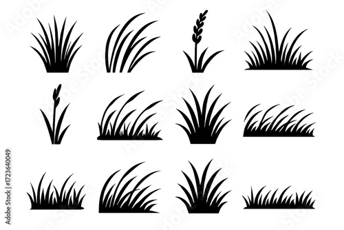 Grass detail flat head waving seed clump vector single icon prairie