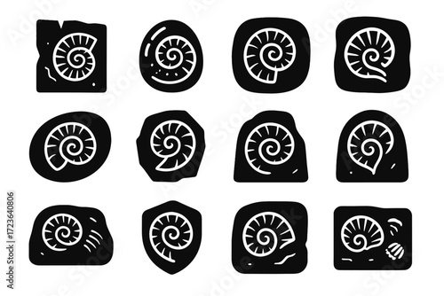 Sample imprint shell rock marine spiral icon vector fossil stone mark
