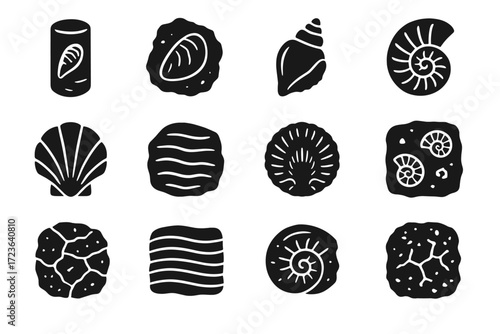 Icon core rock layered icons broken shell vector marine lines veins fossil