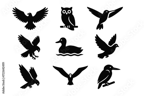 Pigeon vector falcon kingfisher silhouette wings duck branch icons water icon owl