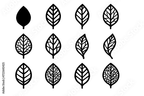 Tip asymmetric leaf vector rounded icon remnants skeleton foliage compact