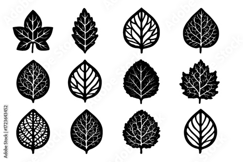Design lines layout meshed icon leaf foliage skeleton icons vector natural smooth