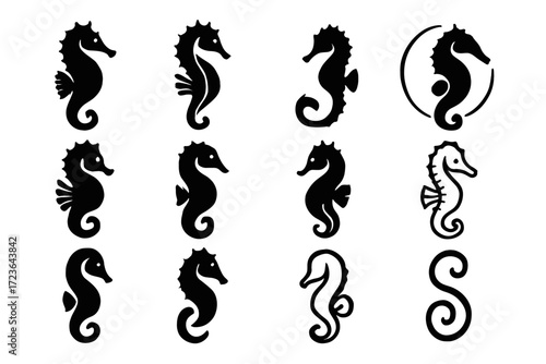 Underwater soft vector swimming dramatic badge curled collection seahorse icon style