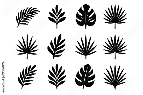 Silhouette single tropical icon shape motif frond arched vector palm