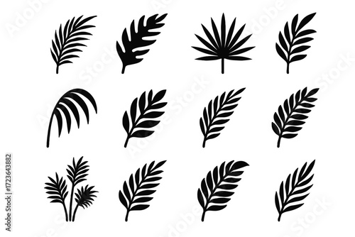 Symmetrical icon vector droop style palm burst tall foliage fronds jagged