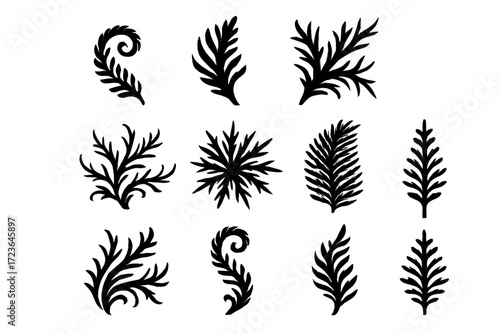Curled leaf layered jagged fern compact freeze icon vector frost