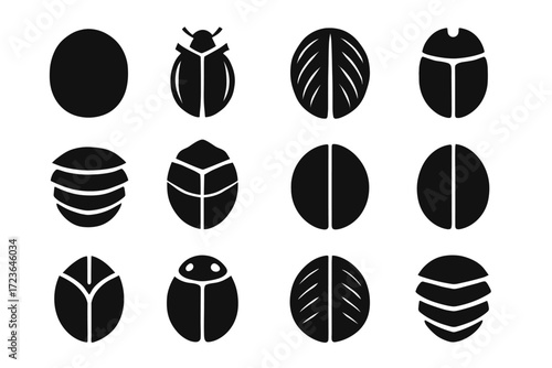 Shielded icon exoskeleton beetle vector casing icons carapace shell head domed