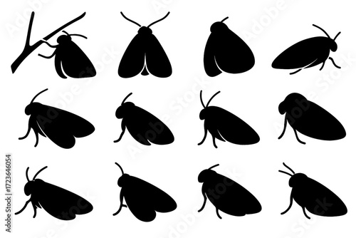 Insect profile stance icons moth vector silhouette calm resting icon minimal