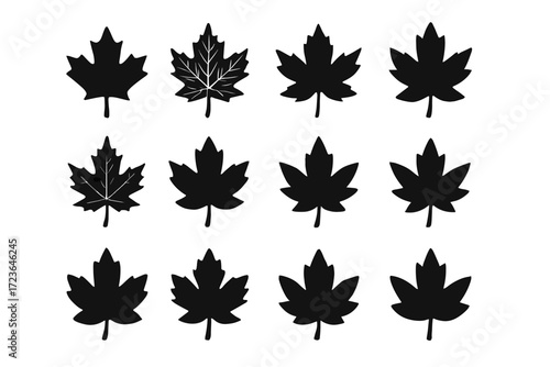Maple exaggerated jagged design vector sketch iconic icon leaf canadian tree