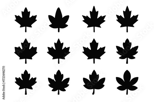 Maple artistic minimalist outline silhouette profile vector autumn strong leaf icon