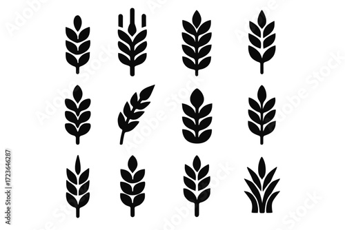 Cereal abstract wheat icon detailed vector heads compact silhouette ear set