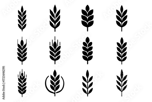 Cereal set grain ear layering classic vector icon rustic minimal stylized wheat