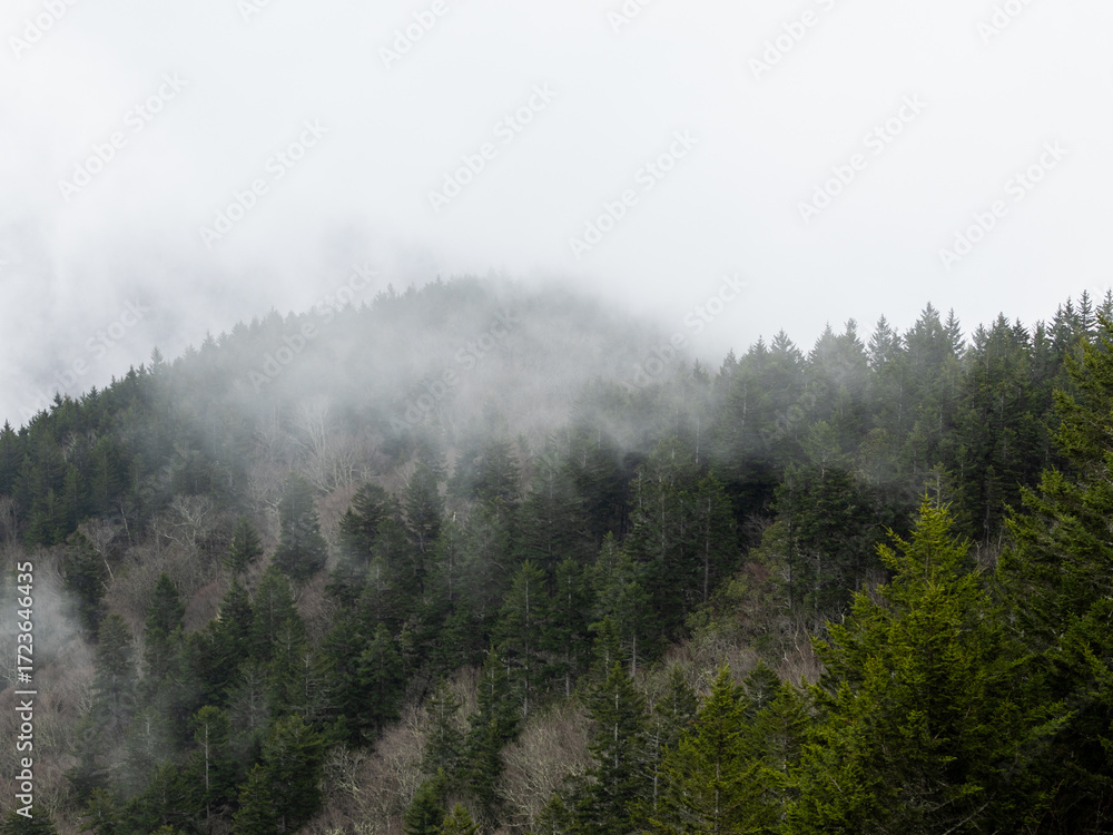 Fotografie Foggy Weather at Mt