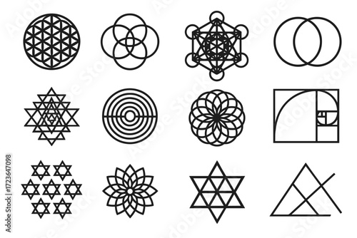 Vector pattern mandala geometry sacred icons icon life grid dome flower fibonacci
