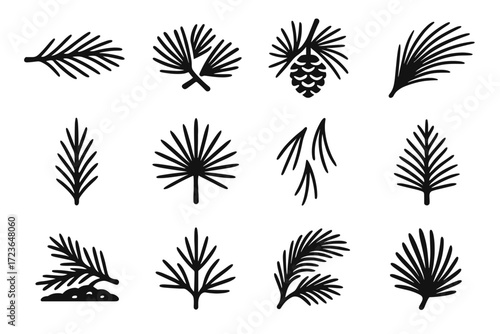 Needles sprig icon forest winter vector thin pine curved twig vertical tree