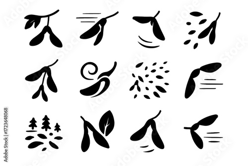 Maple dispersing twin seed motion isolated vector simple seeds icons icon dispersal