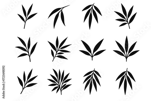 Wide stem icon bunch hanging bamboo leafy modern vector upward dense leaf