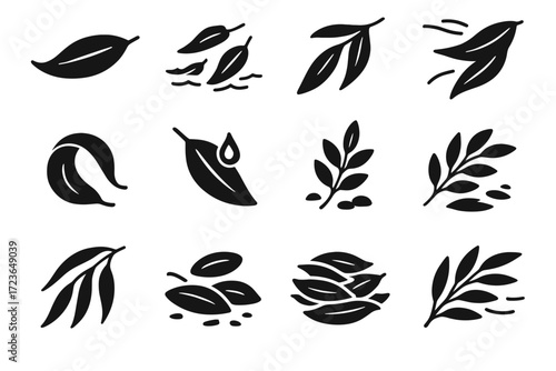 Compilation icon leaf spray twig swaying vector scattered eucalyptus arched branch