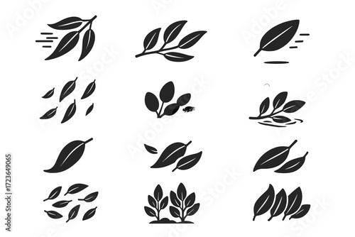 Air shadow leaf branch collection misty group effect vector drying eucalyptus icon