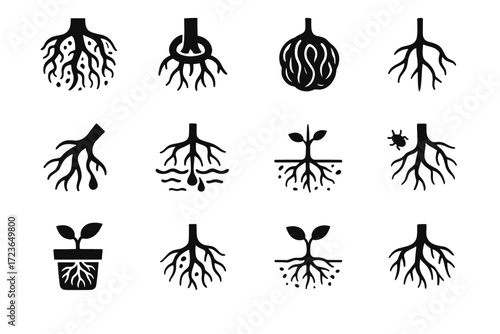 Root rootbound troubles broken icons vector waterlogged tip icon rot girdling stress
