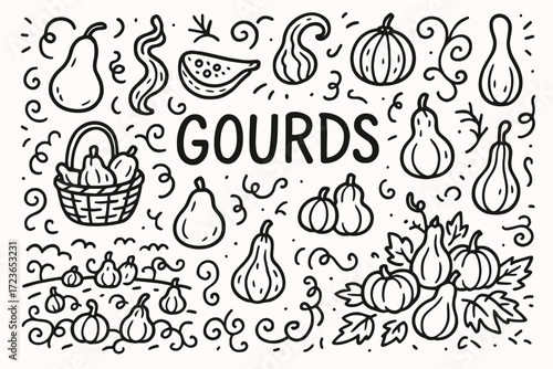 Autumn harvest outline icon set. pumpkin, gourd, squash outline collection.