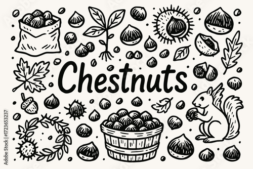 Chestnut icons outline set. nuts, forest elements, squirrel outline illustration