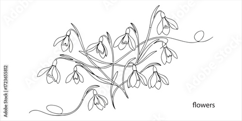 Creative layout made with snowdrop flowers continuous single line art drawing sketch on white background