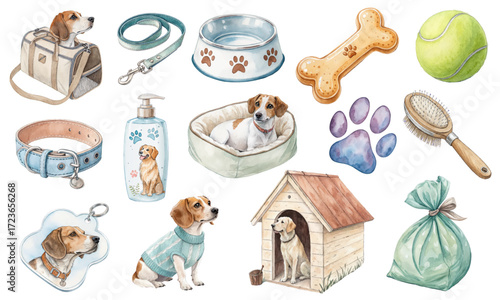 Watercolor Vector Set of Dog Accessories and Pet Elements