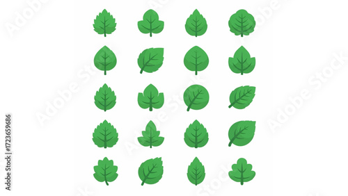 green leaf shape vector