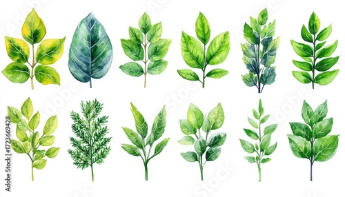 Watercolor painting of various green leaves on white background. Use it for spring designs, patterns, or botanical illustration projects.