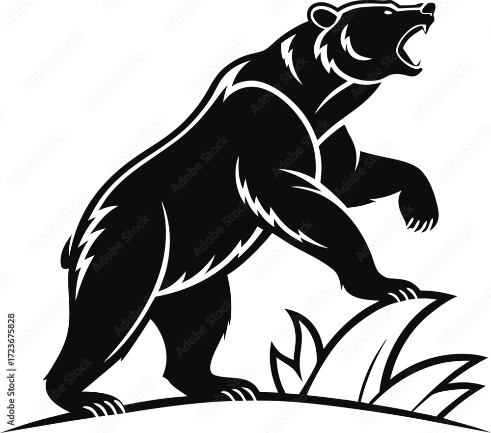 Fototapeta premium Black bear roaring standing 