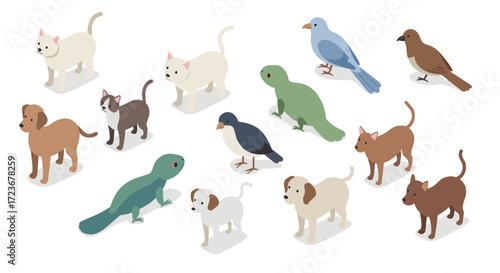 Charming isometric animals collection featuring dogs, cats, birds, and reptiles