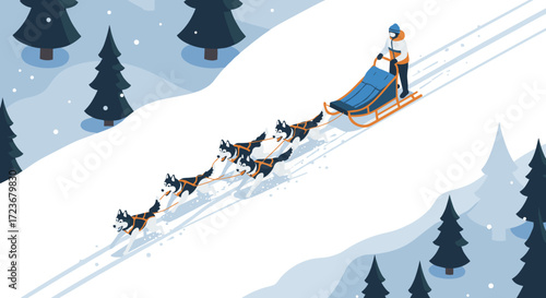 Adventurous dog sledding in winter landscapes surrounded by snowy pine trees