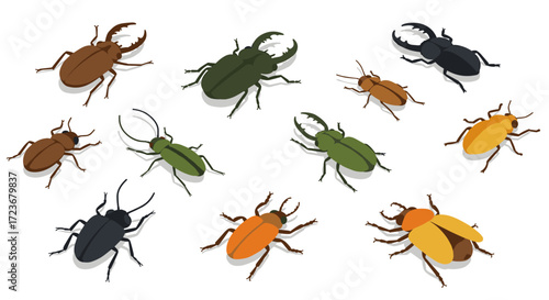 Colorful beetle collection in isometric style