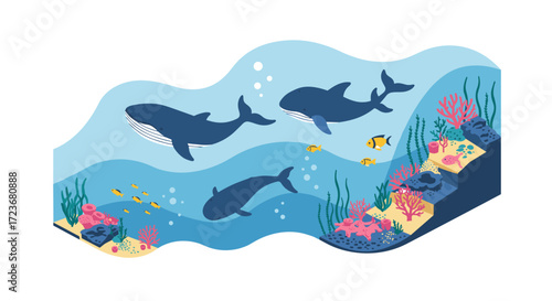 Colorful underwater scene with whales and coral reef in isometric style