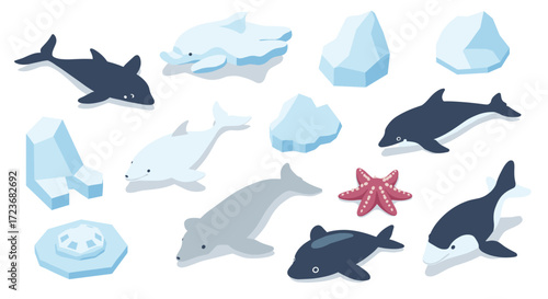 Isometric arctic animals and ice elements with dolphins and starfish