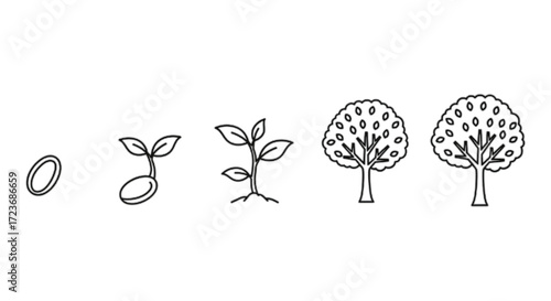 Stages of plant growth from seed to mature tree, illustrating development and life cycle.