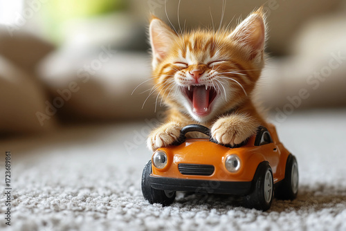Adorable kitten sitting in a colorful toy car laughing joyfully while pretending to drive, capturing playful and cute moments