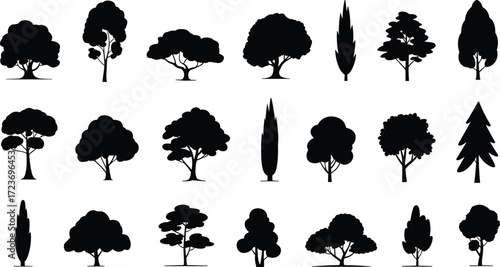Tree silhouette vector collection with forest plants, nature elements, park trees, black botanical icons, landscape decoration, environmental eco friendly design.