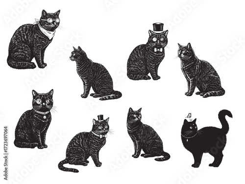 Engraved Halloween Black Cat Vintage Etching Spooky Vector Illustration