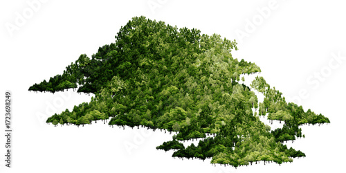 Fototapeta green tree on white background/Green forest trees jungle woodland foliage landscape mountain nature PNG