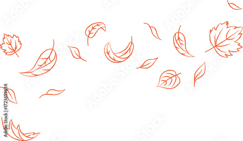 Autumn leaves gently falling in a delicate pattern against a clean white background