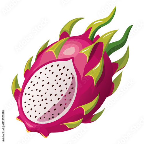 vector illustration of a Dragon Fruit