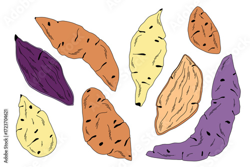 Set of yellow, red and purple sweet potatoes in different shapes and sizes, whole and cut