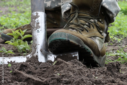 Loosening the soil, removing weeds and planting winter garlic cloves in open ground in a garden bed in the fall
