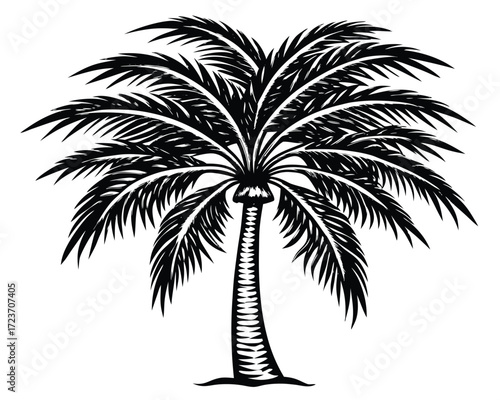 Detailed black and white line drawing of a tropical palm tree