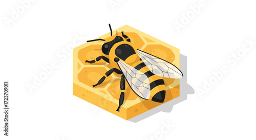 A honeybee perched on a honeycomb cell.