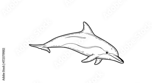 Artistic Dolphin Illustration: Black and White Sea Creature