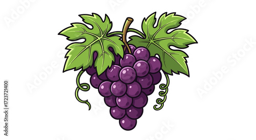 Cartoon ripe purple grapes with lush green leaves illustration